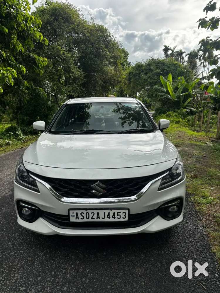 Baleno Delta P