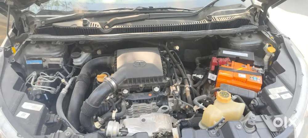 Tata Nexon 2022 Petrol 36280 Km Driven