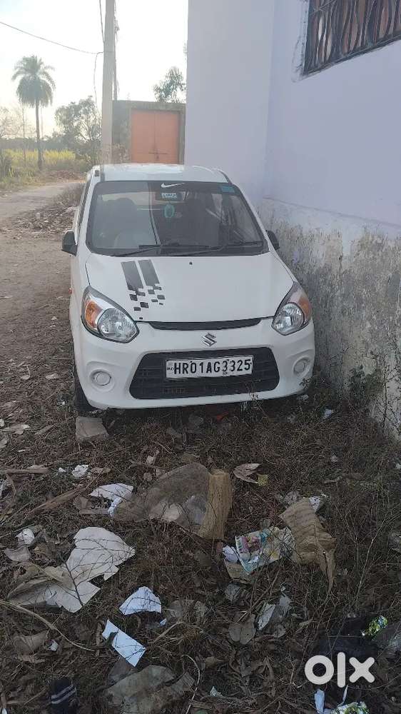 Alto 800 2013