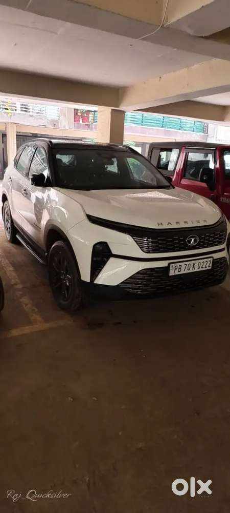 Tata Harrier Automatic 2024 Diesel 35000 Km Driven