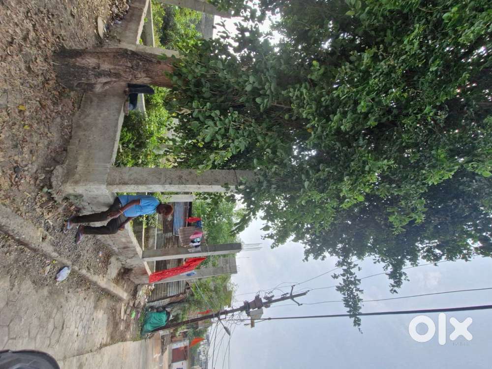 दान पत्र patta