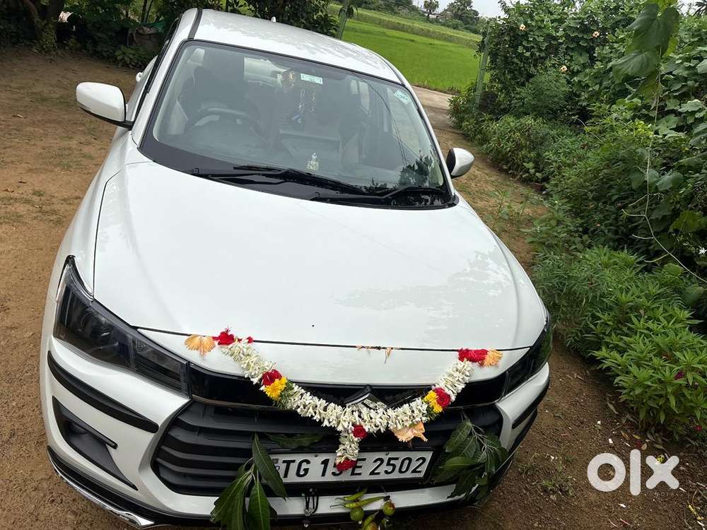 2025 Maruti Suzuki Cng Hybrid Manual