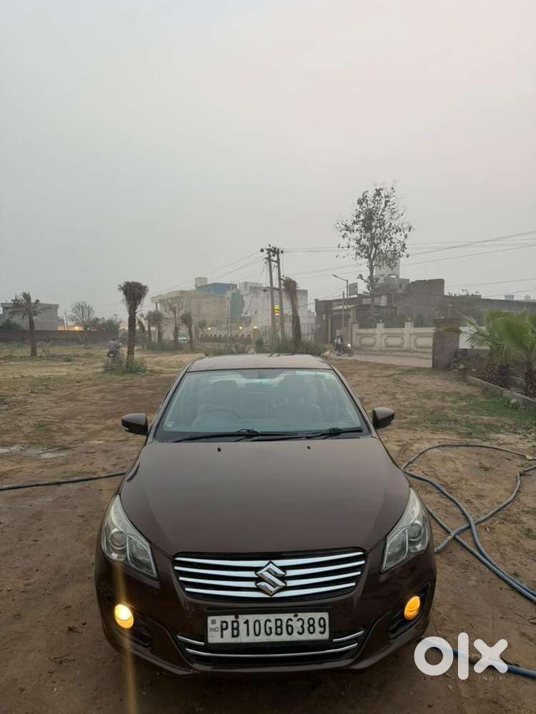 Maruti Suzuki Diesel 2016