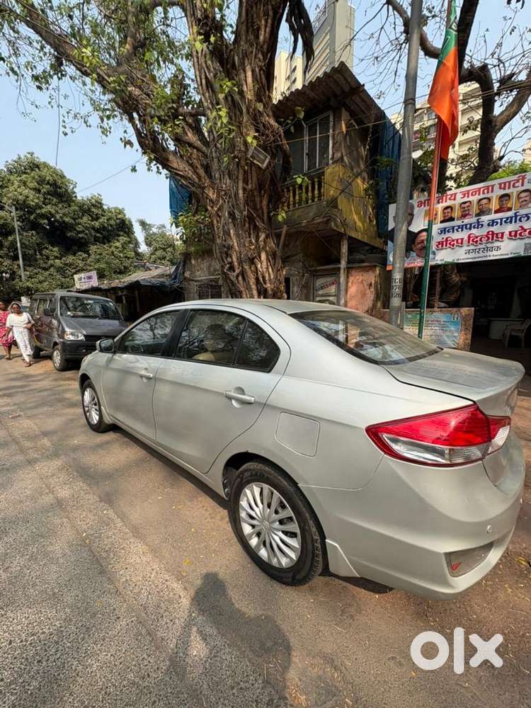 Maruti Suzuki Car 2015