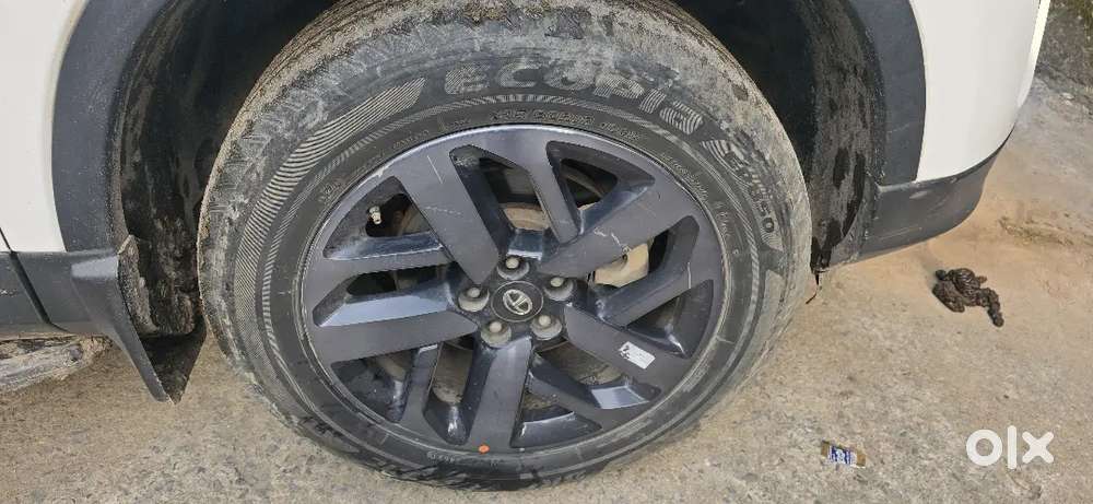 Tata Safari 2022 Diesel Automatic