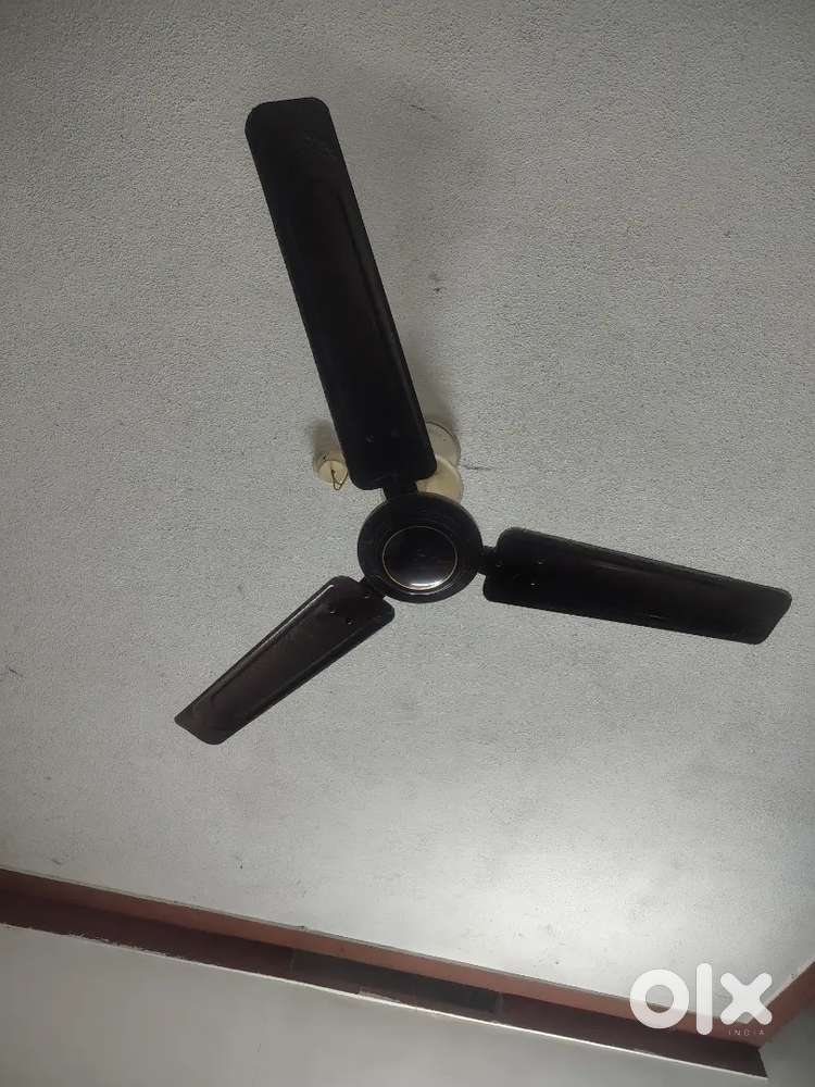Good condition Bajaj Ceiling Fans