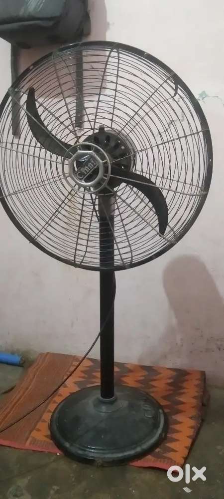 Cinni  Pedestal Fan