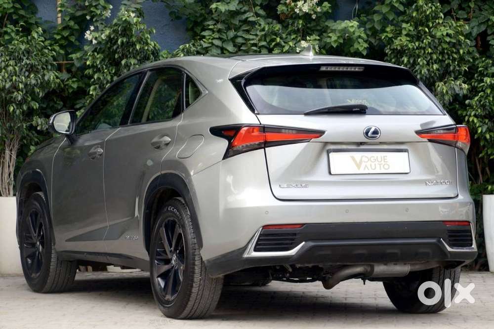 Lexus Nx Lexus-nx-300h-luxury, 2019, Petrol