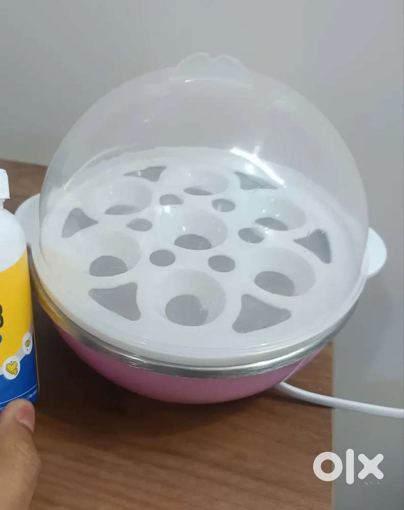 Egg boiler 1 months old