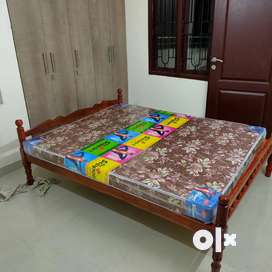 Wooden store cot olx