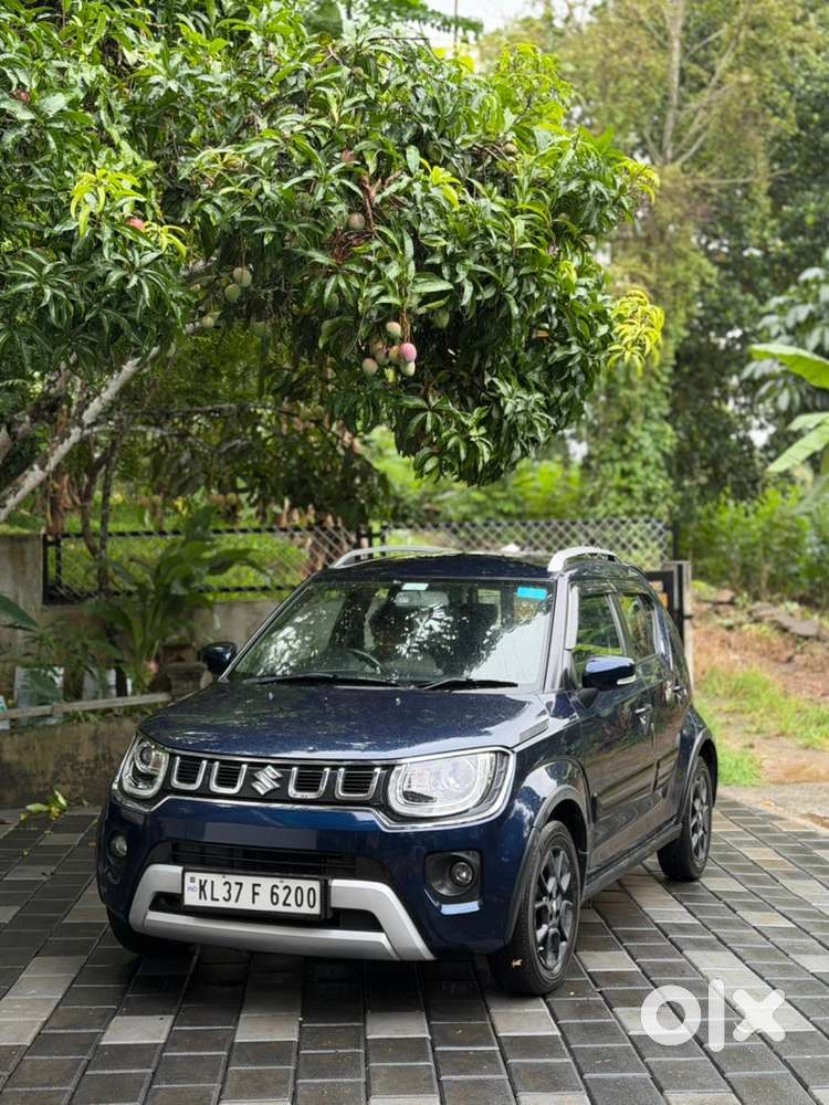 Maruti Suzuki Ignis Alpha 2024