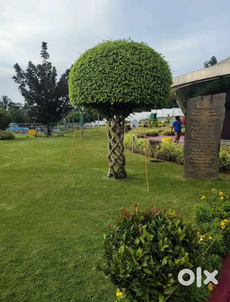 Gardener at Kalanassery Science Park