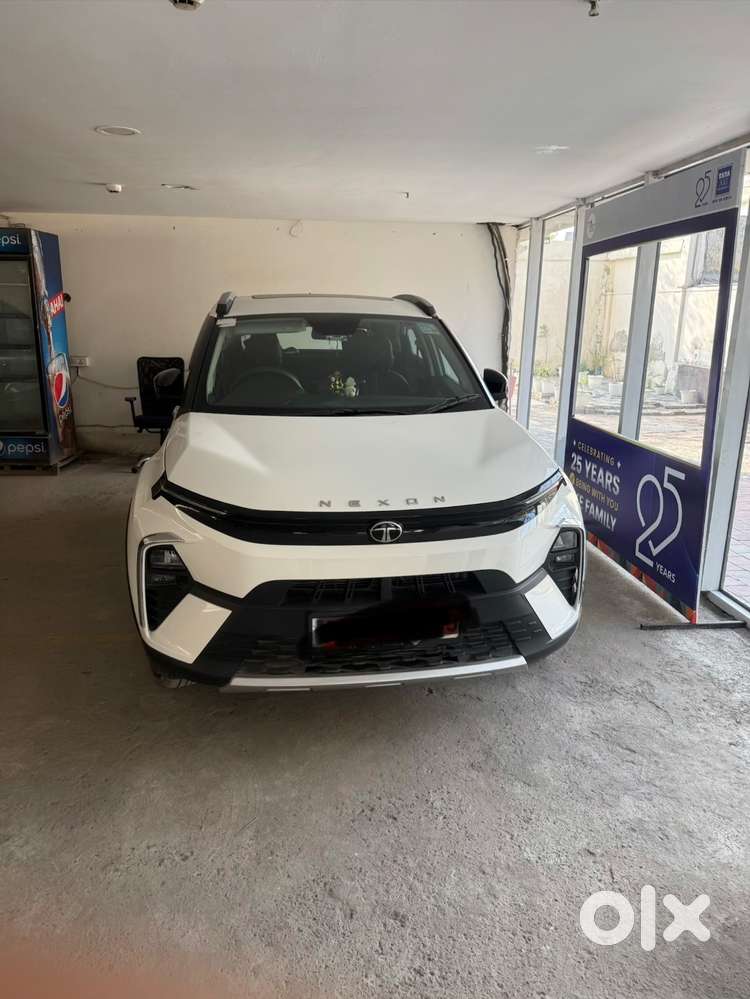 Nexon Pure Plus S 2025