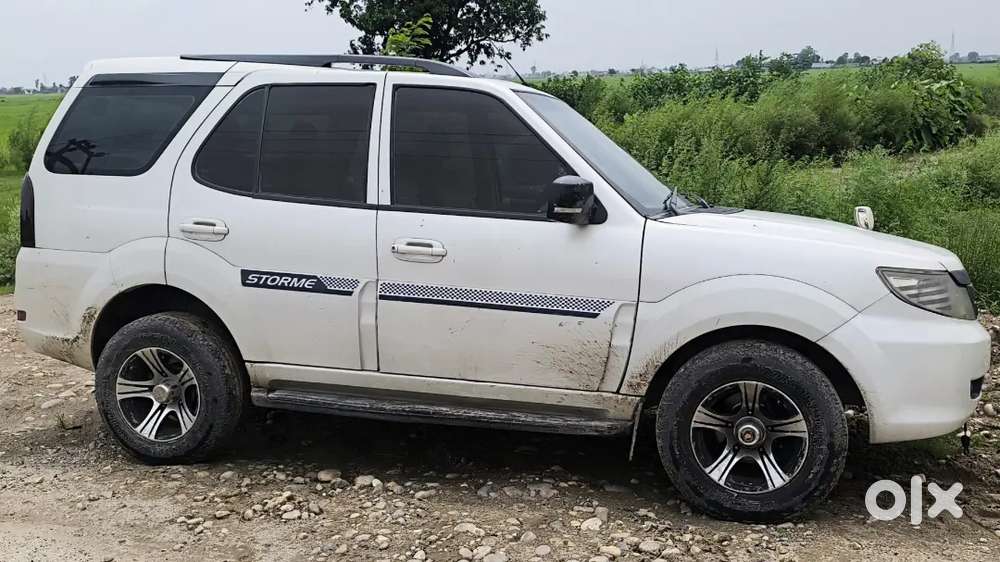 Selly My Safari Storme