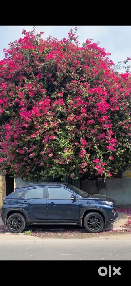 Maruti Suzuki Fronx 2023 Petrol Well Maintained