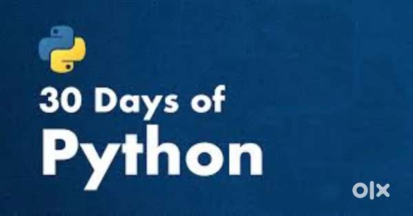 Python developer