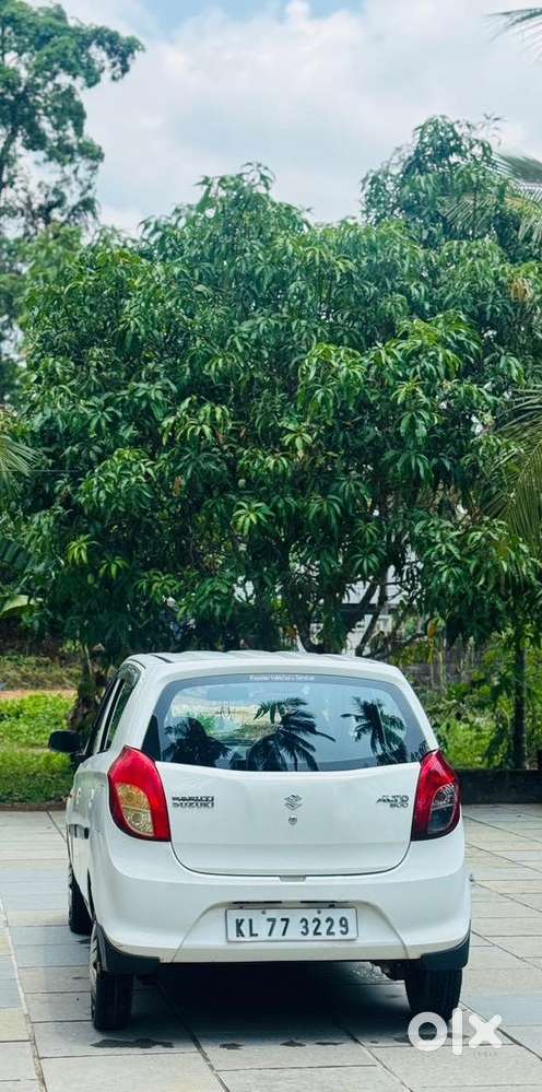 Alto 800 2019