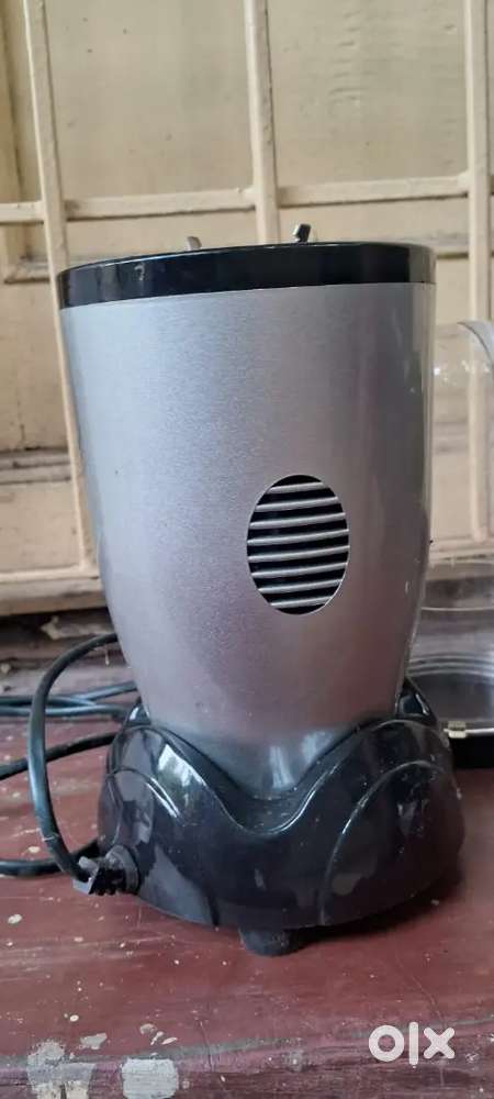Fruit juicer