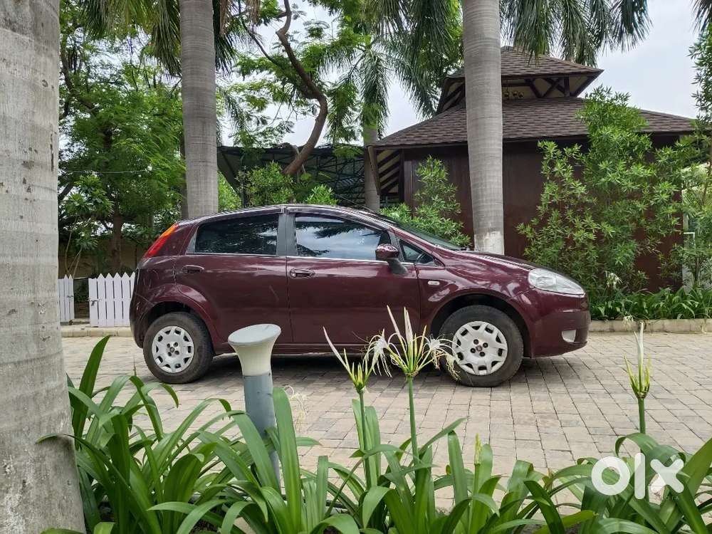 Fiat Punto Active 2012