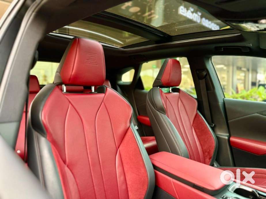 Lexus Rx 500h Panasonic, 2024, Petrol