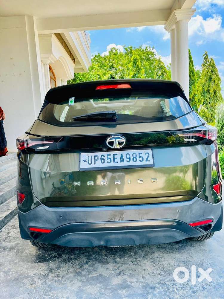 Less Driven Top Model Harrier Camouflage Edition