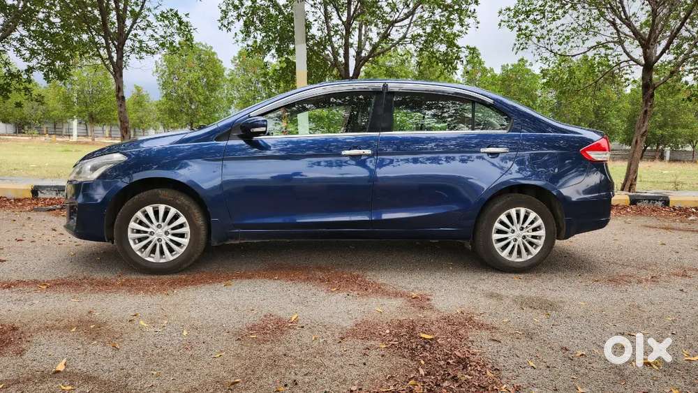 Ciaz Maruti Suzuki 2017,
