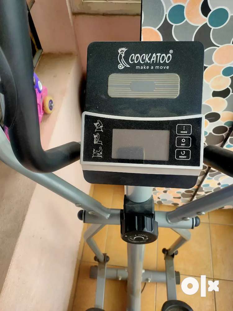 Cockatoo elliptical best sale