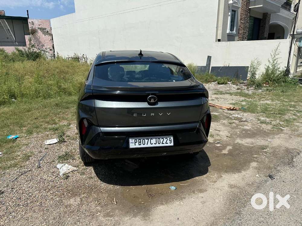 Tata Curvv 2025 Petrol Well Maintained