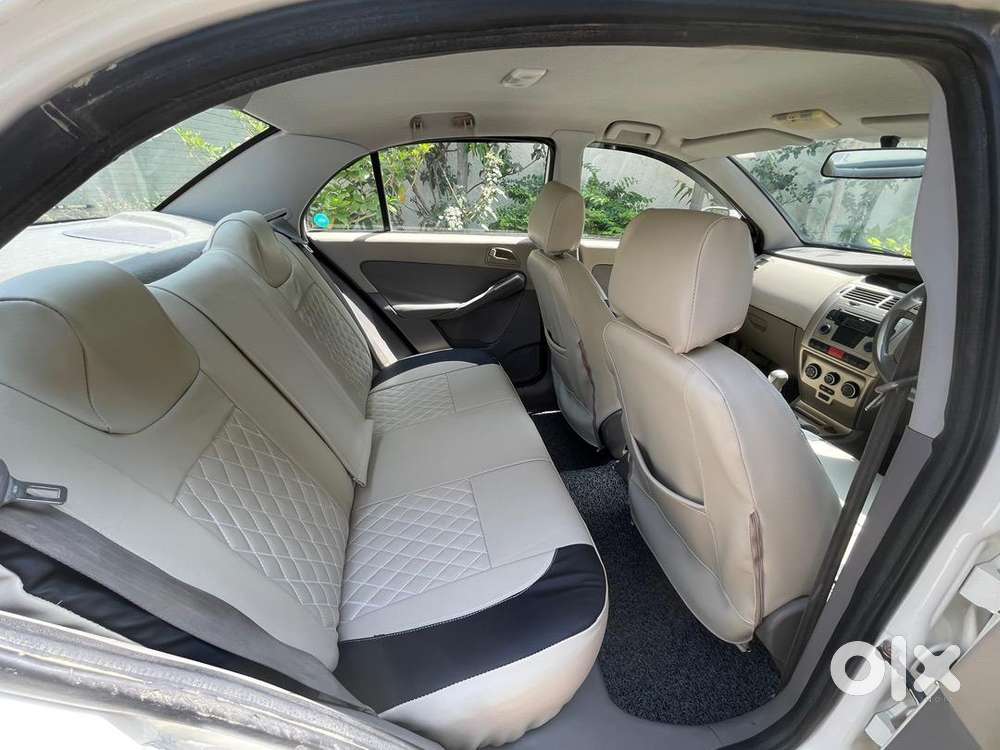 Tata Petrol Car 2010