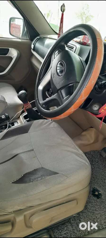 First Oner Fress Condition