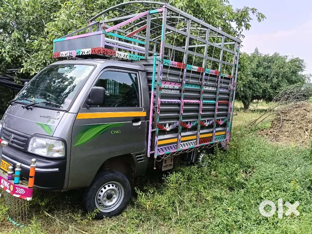 Maruti Suzuki 800 Duo Std Lpg 1 Year