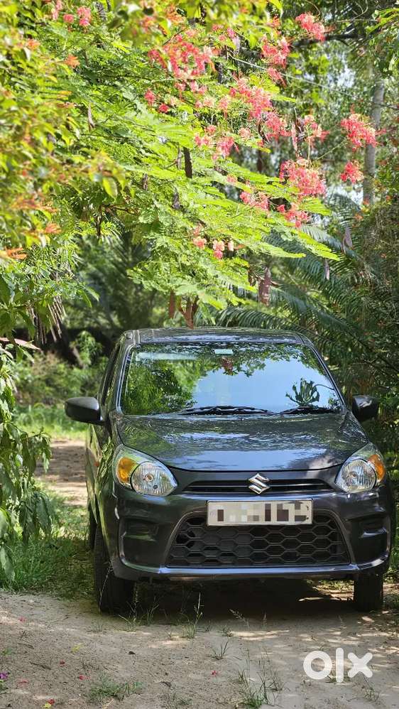 Maruti Suzuki Alto 800 2022 Petrol 16000 Km Driven