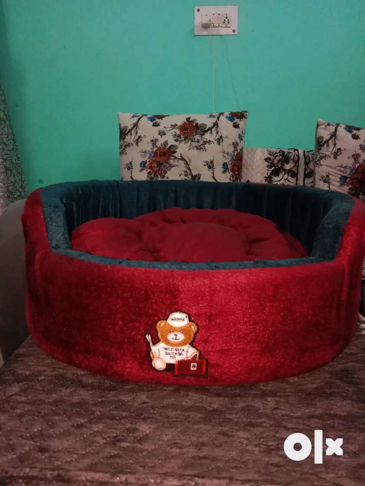 Dog hotsell bed olx