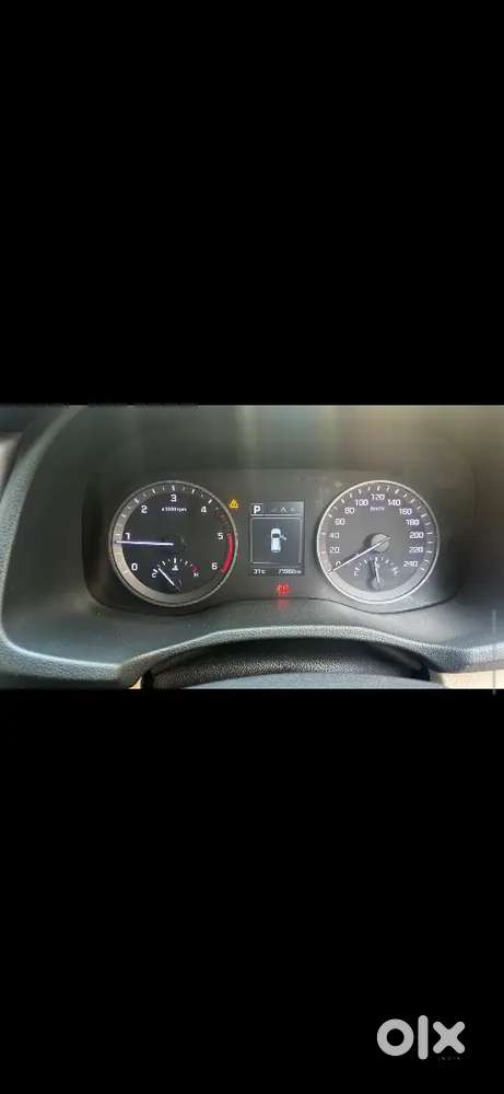 Black Beauty Tucson Automatic