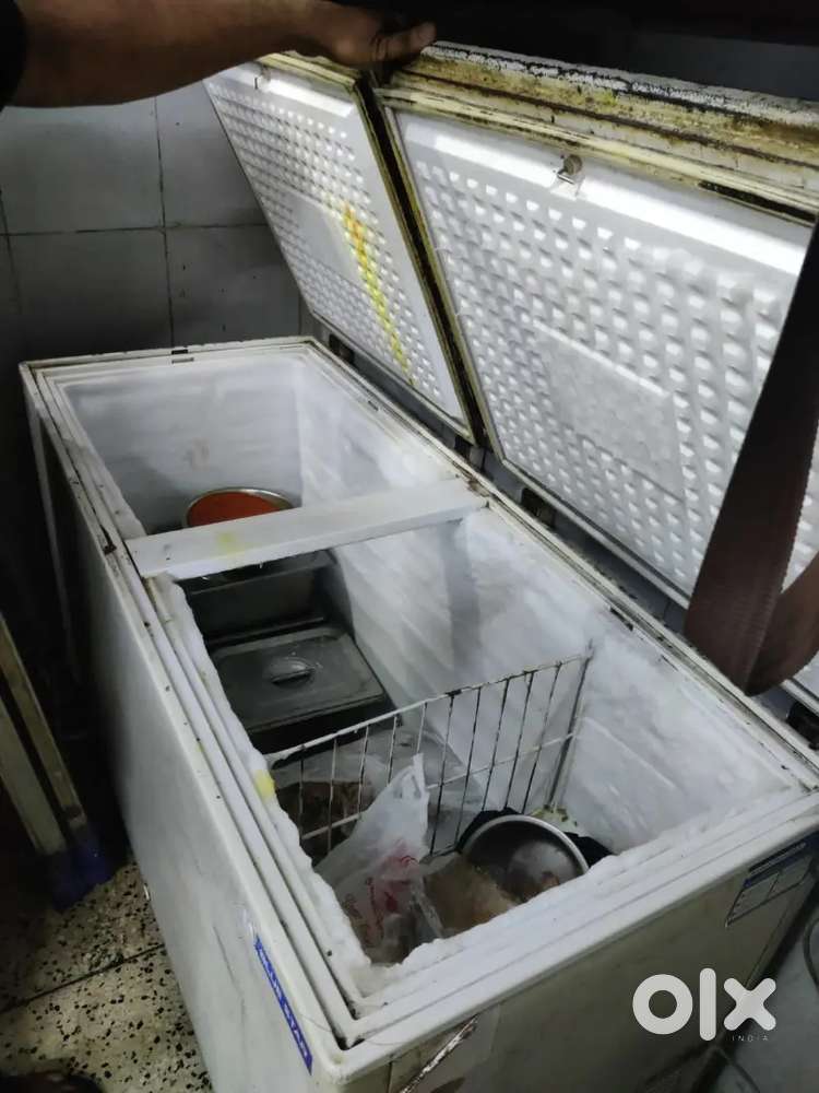 Blue Star Deep Freezer