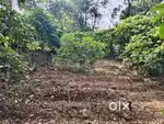 13 Cent Plot for Sale