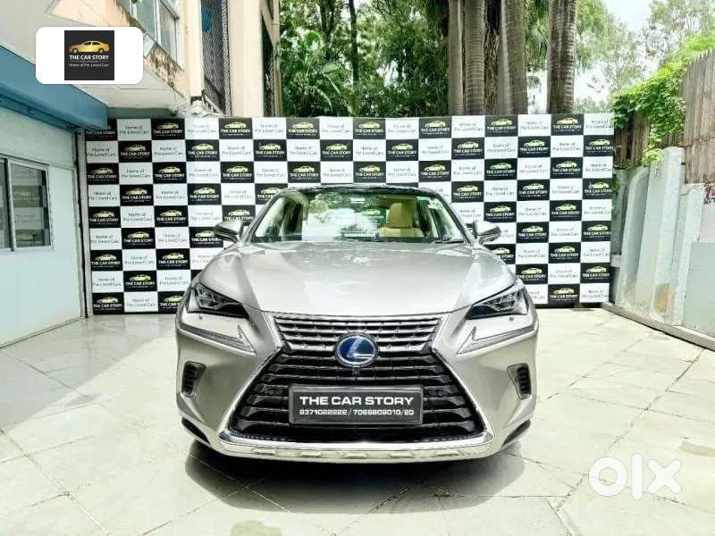Lexus Nx, 2019, Petrol