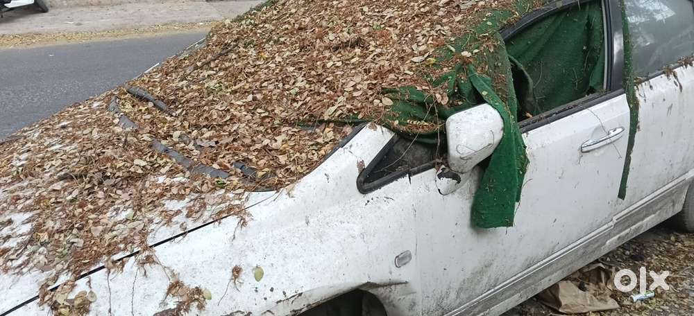 Repair Or Scrapp