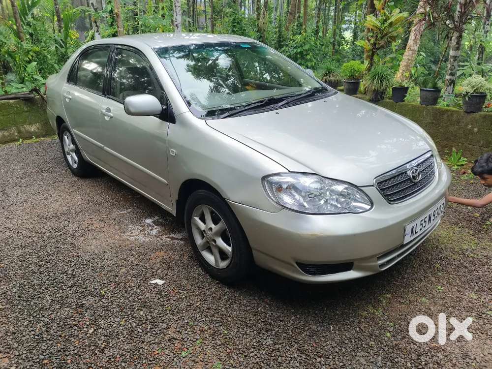 Toyota Corolla 2006 Manual Year