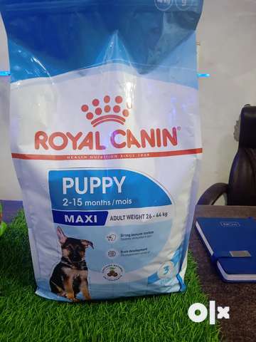 Royal canin dog food Pet Food Accessories 1783192735