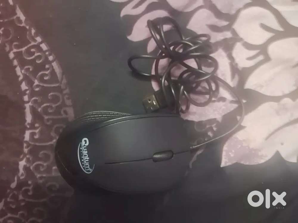 Quantum hi tech mouse