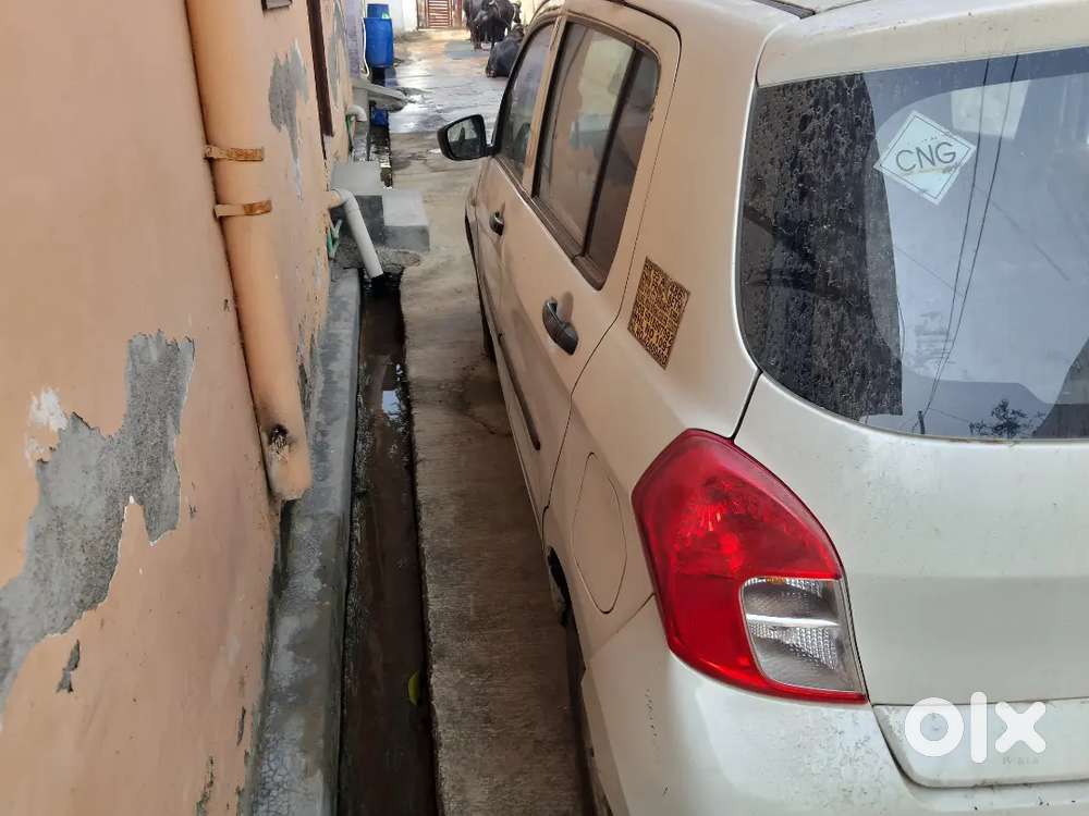 Maruti Suzuki Celerio Lxi 2019