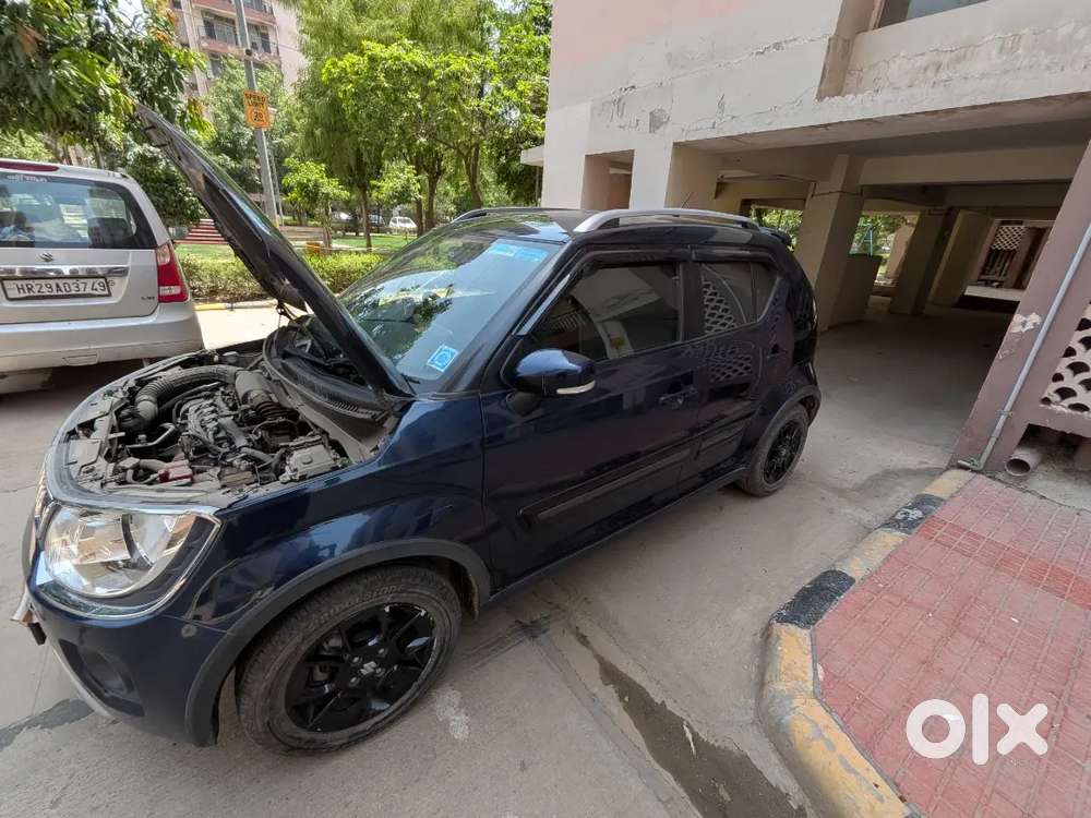 Maruti Suzuki Ignis 2024 Amt Petrol 6090 Km Driven
