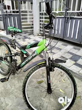 Gear cycle in clearance olx