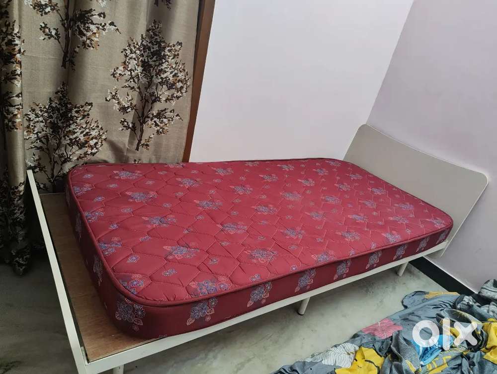 Allen Engineered Wood Single Bed + Duroflex Mattress