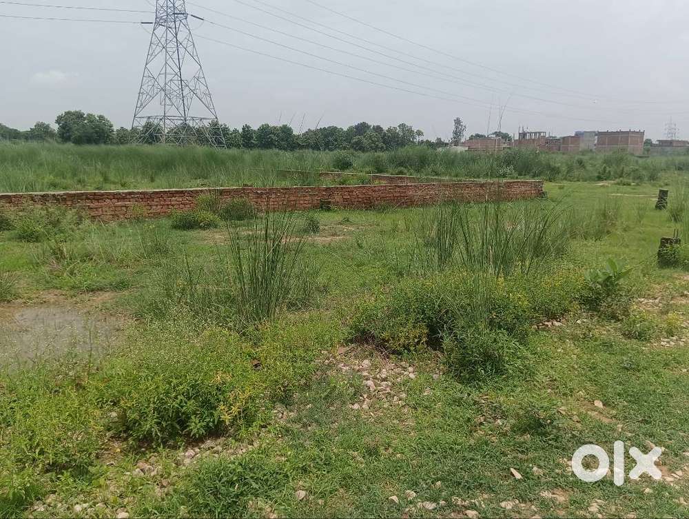 1350 Sq Ft Commercial Warehouse Godown Space Rent in Naini, mamabhanja