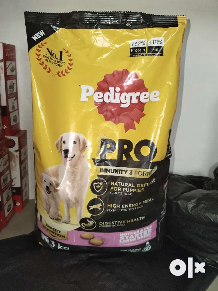 Olx best sale dog food