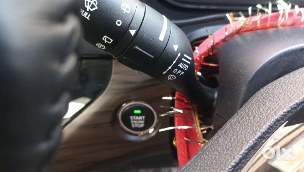 Tata Nexon Xz Plus Luxs Kaziranga, 2024, Petrol