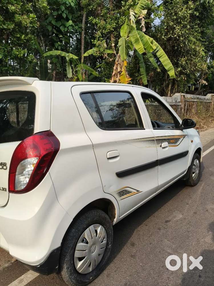 Alto 800 Perfect Condition