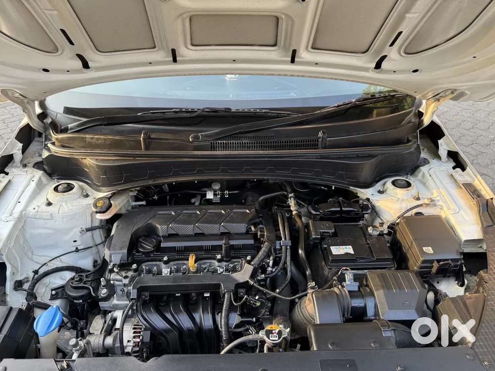 Kia Seltos Htk Plus 1.5 Turbo Petrol Imt, 2023, Petrol